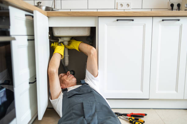Professional Plumbing in Oldsmar, FL
