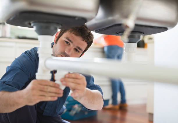 Best Local Plumber Services  in Oldsmar, FL